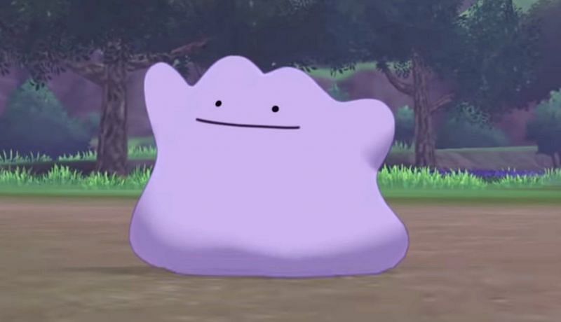 Ditto vides ikke at have nogen udvikling (Billede via The Pokemon Company)