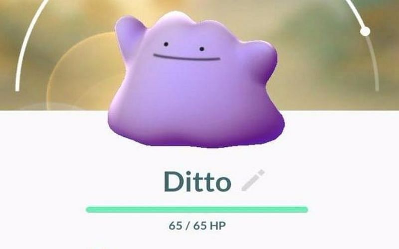 Ditto was created as a failed attempt to copy Mew (Image via Niantic)