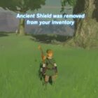 Denne Zelda: Breath Of The Wild Randomiser flytter alt rundt og stjæler dine genstande