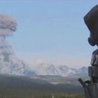 Call of Duty Cold War Warzone Fan skaber en syg anime-åbning