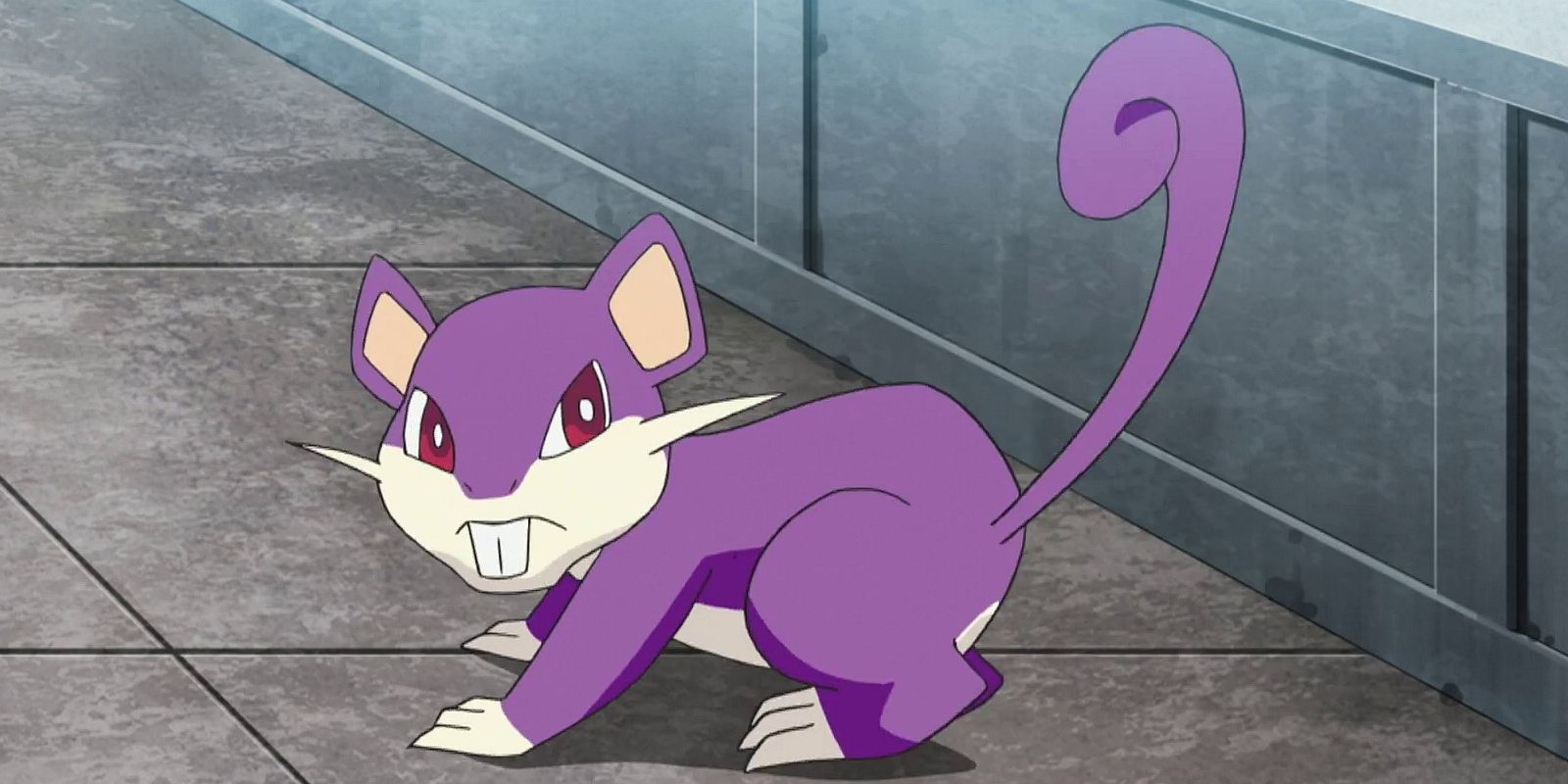 Er der en skinnende Rattata i Pokemon Go November Spotlight Hour 2021?