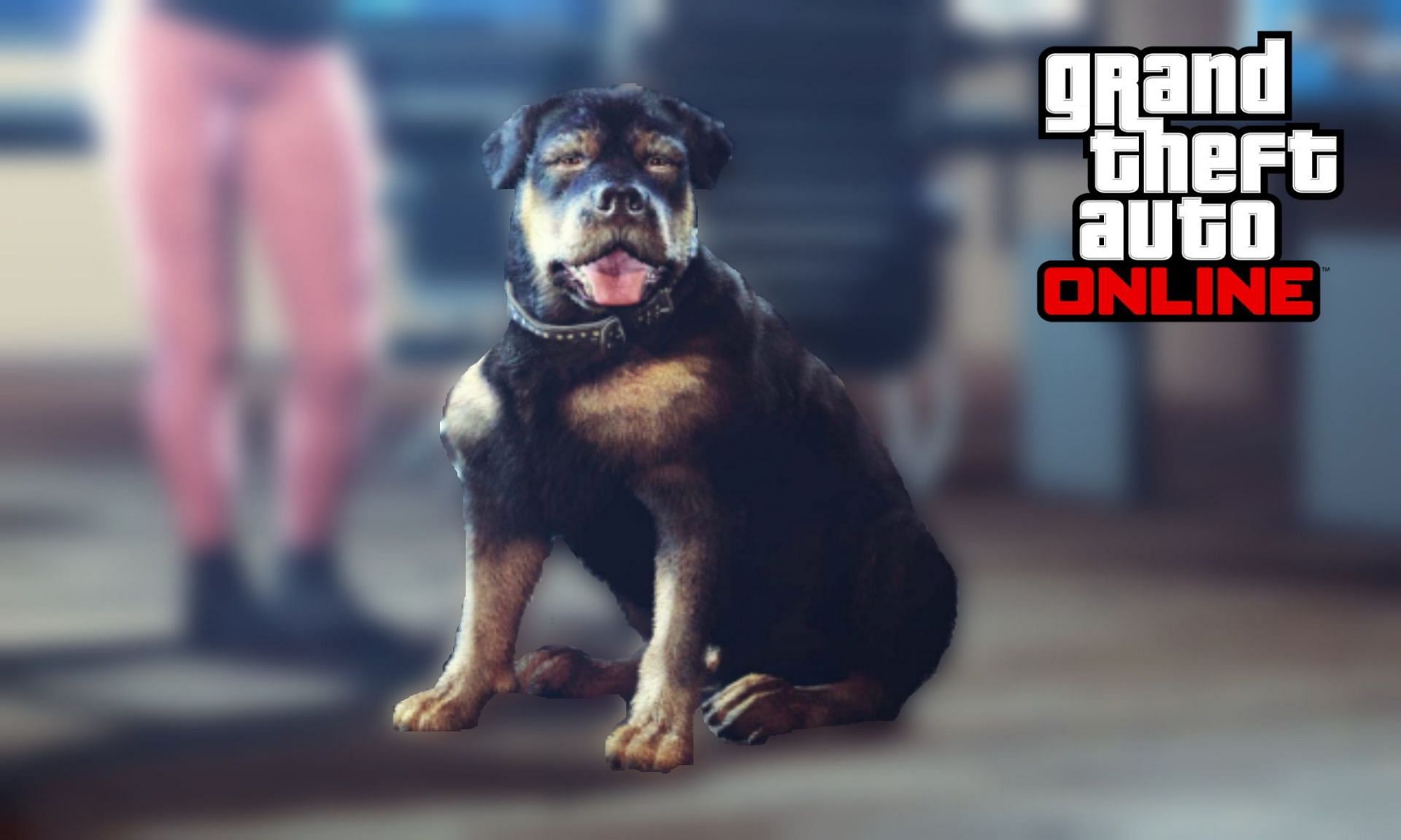 Chop fra Grand Theft Auto V er den, han er.  Her er en hurtig gennemgang af, hvad du skal vide.  ⋆ Ceng News