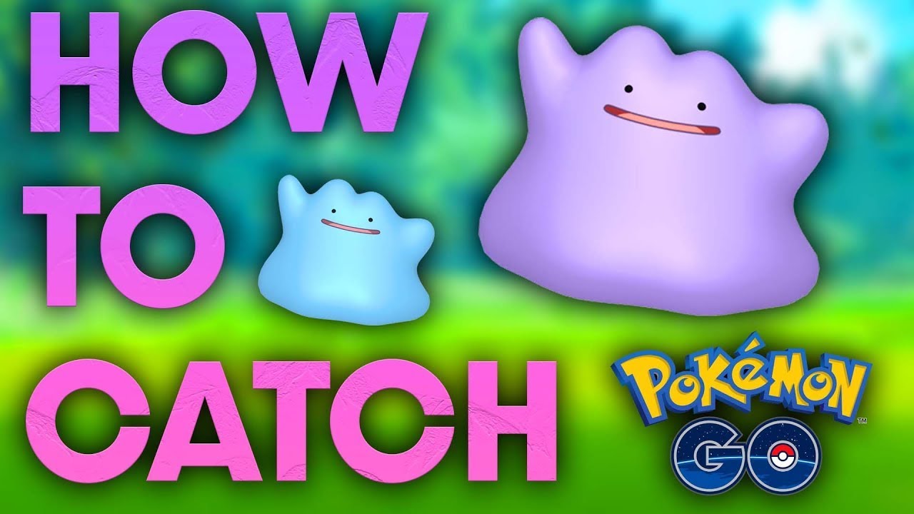 Ditto Pokemon Go 2022 Hvordan identificerer jeg Ditto?