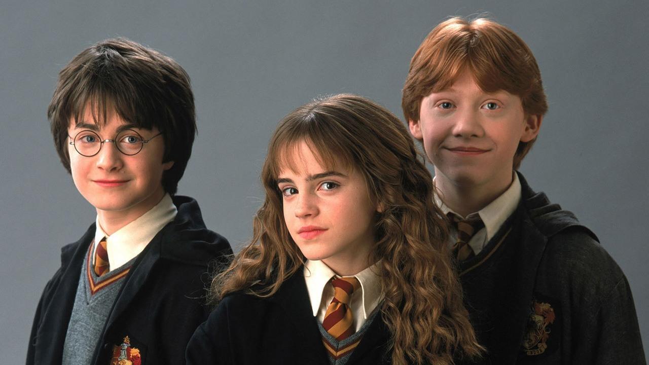 Harry Potter MMO blev annulleret af EA i begyndelsen af ​​2000'erne, fordi den troede, at IP ikke ville holde
