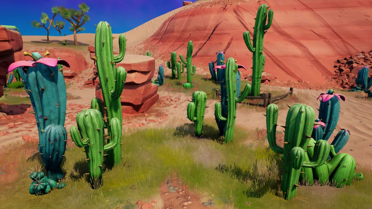 Hvor kan man finde Fortnite Cactus-planter og ødelægge forskellige typer