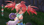 Atelier Sophie 2 og Tales of Arise fejrer deres respektive 25 års jubilæer med en helt ny samarbejdsbegivenhed.