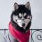 Profil af Alvin_Stick, Jeuxvideo.com