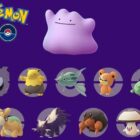 Pokemon Go Ditto februar 2022, Shiny Ditto og chancer for at få en ditto