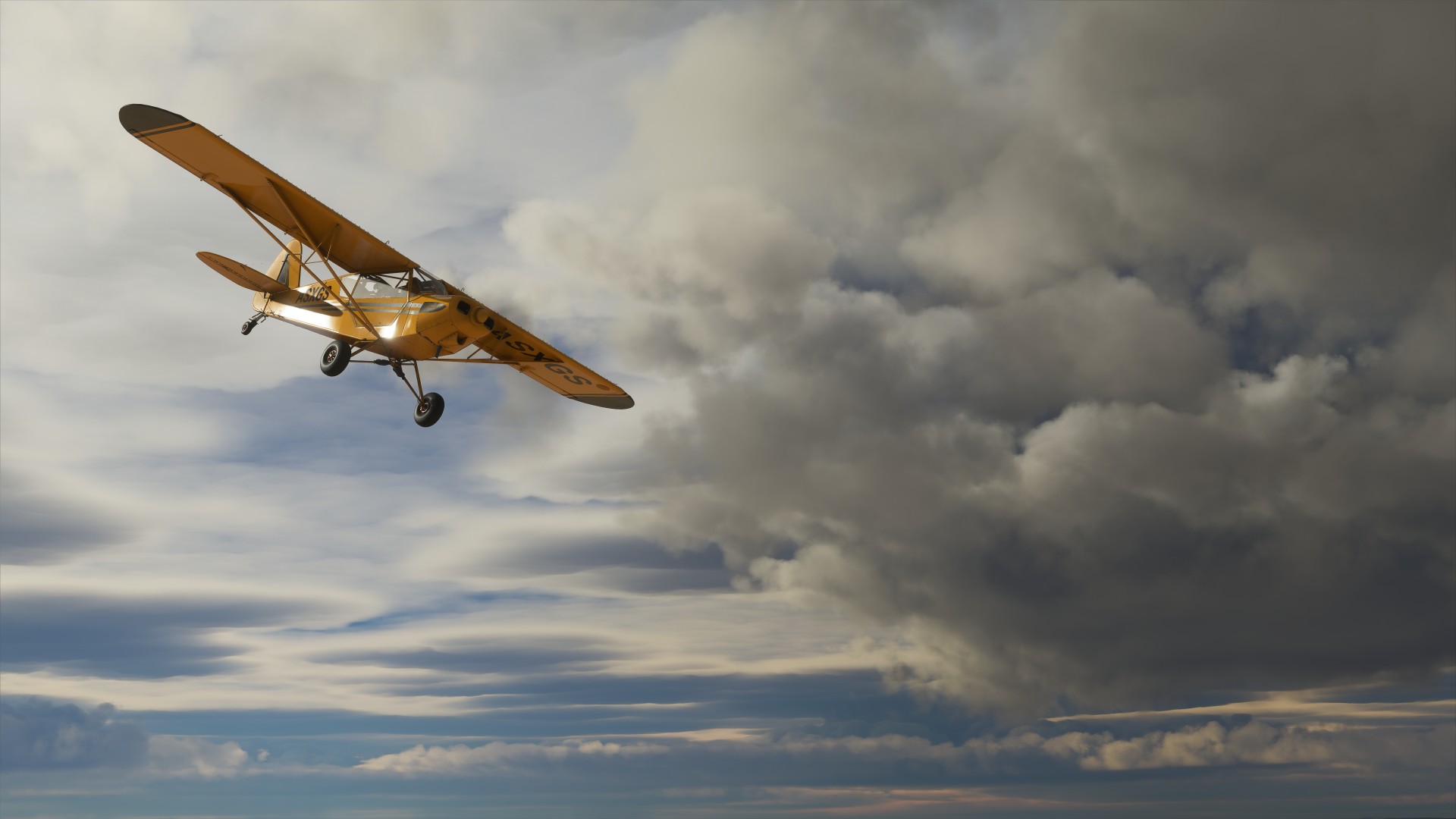 Microsoft Flight Simulator