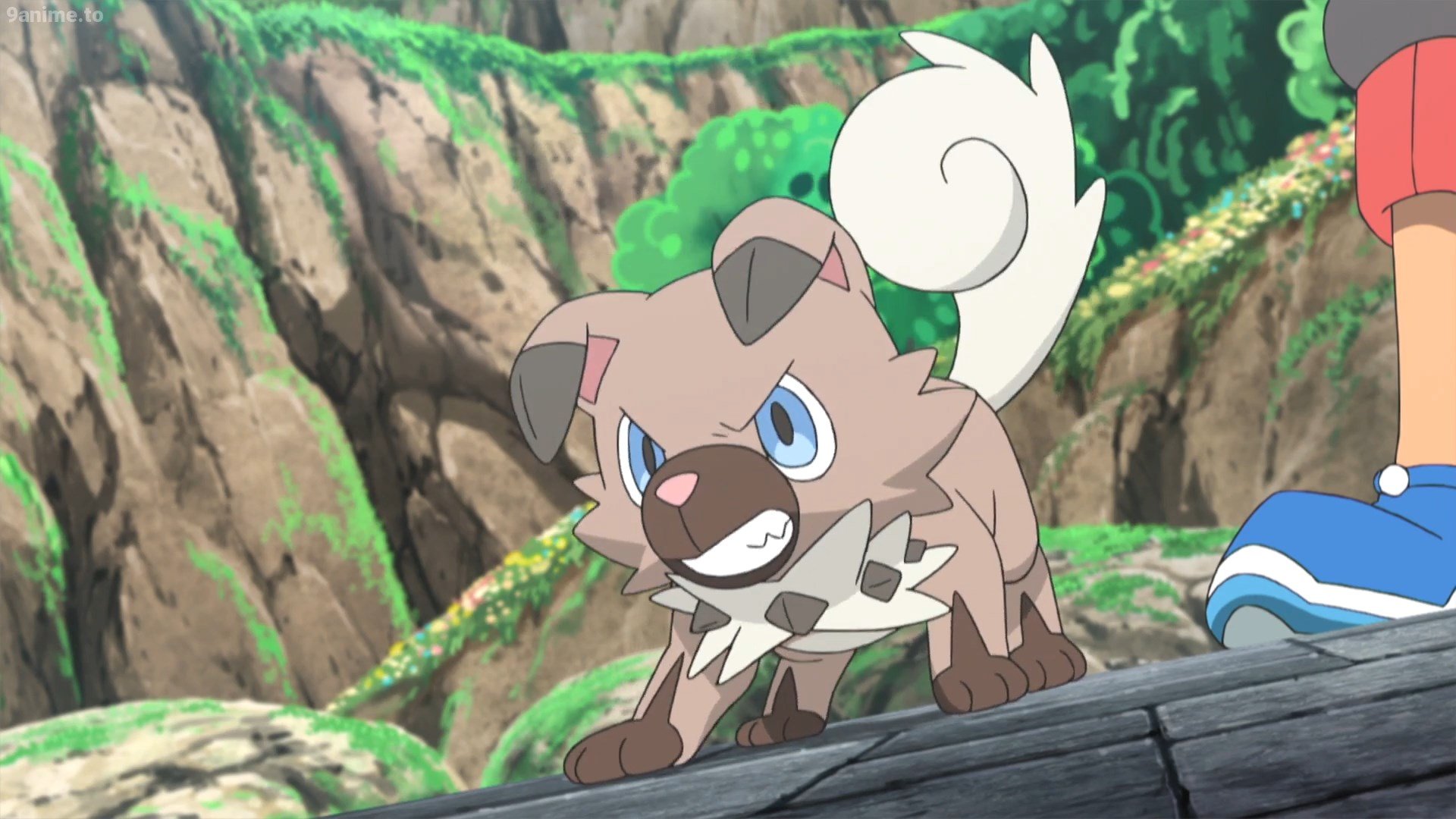 Rockruff Pokemon GO Raid-guide, svaghed, tællere, skinnende status