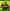 Cyberpunk 2077 (Xbox)