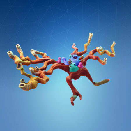 Coral Cruiser
