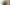 Genshin-impact-banner-itto-dec-2021.jpg