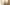 Secretum Secretorum Banner.jpg