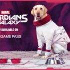 Slut dig til Milo the Dog, når vi spiller Marvel's Guardians of the Galaxy og indsamler penge til SPCA International