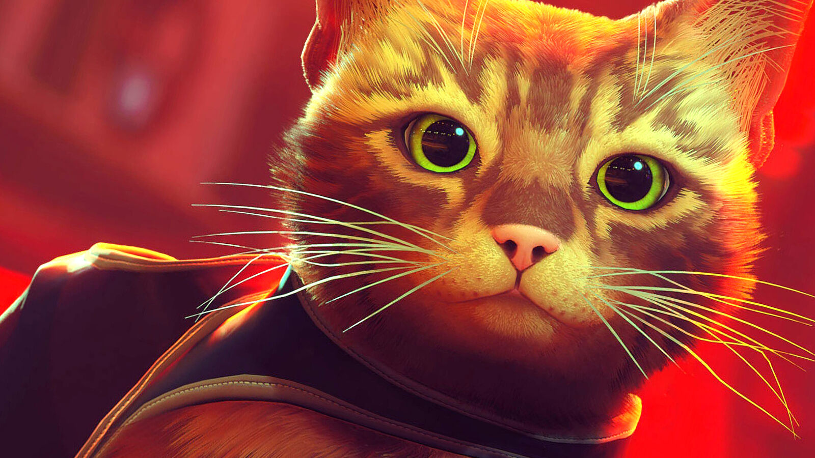 Stray spiller bedst på PS5, da shader-kompileringshatter påvirker et andet Unreal Engine-spil på pc
