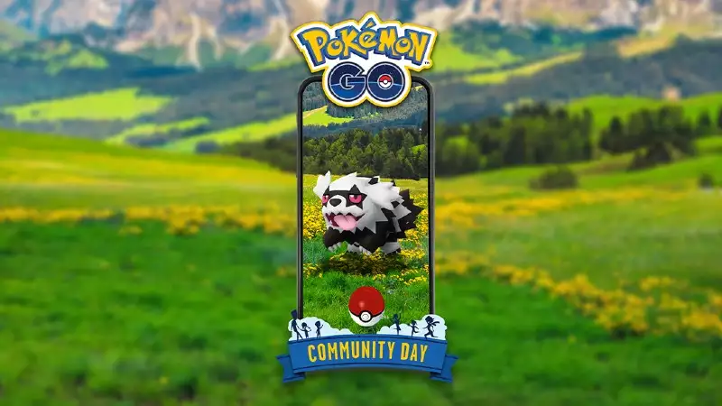 Galarian Zizagoon hvordan man får feltnoter til særlige forskningspokemon go
