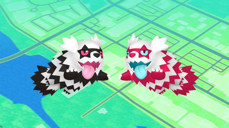 Pokémon GO, Community Day Zigzaton de Galar : attaque eksklusiv, skinnende jagt... Notre guide