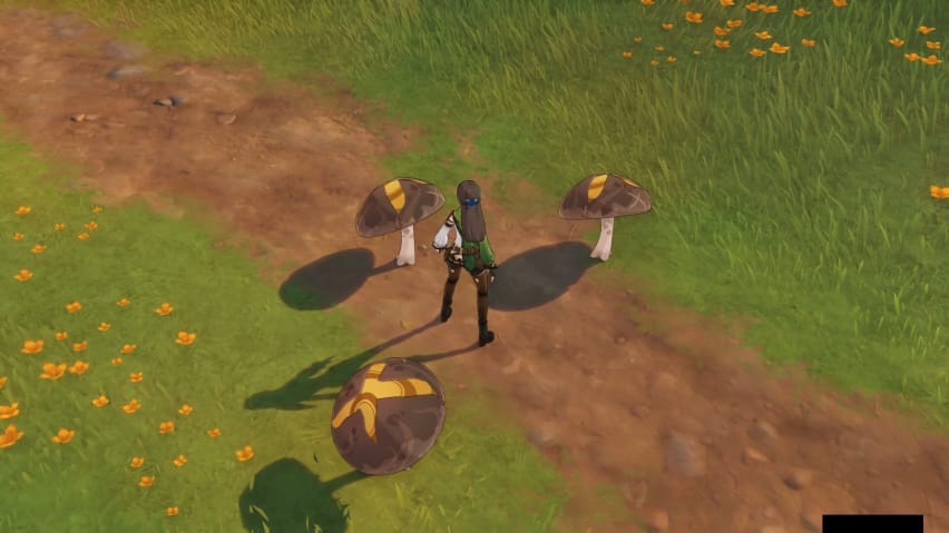 Genshin Impact The Children of Vimara Village Quest Guide (Aranyaka Del 1)