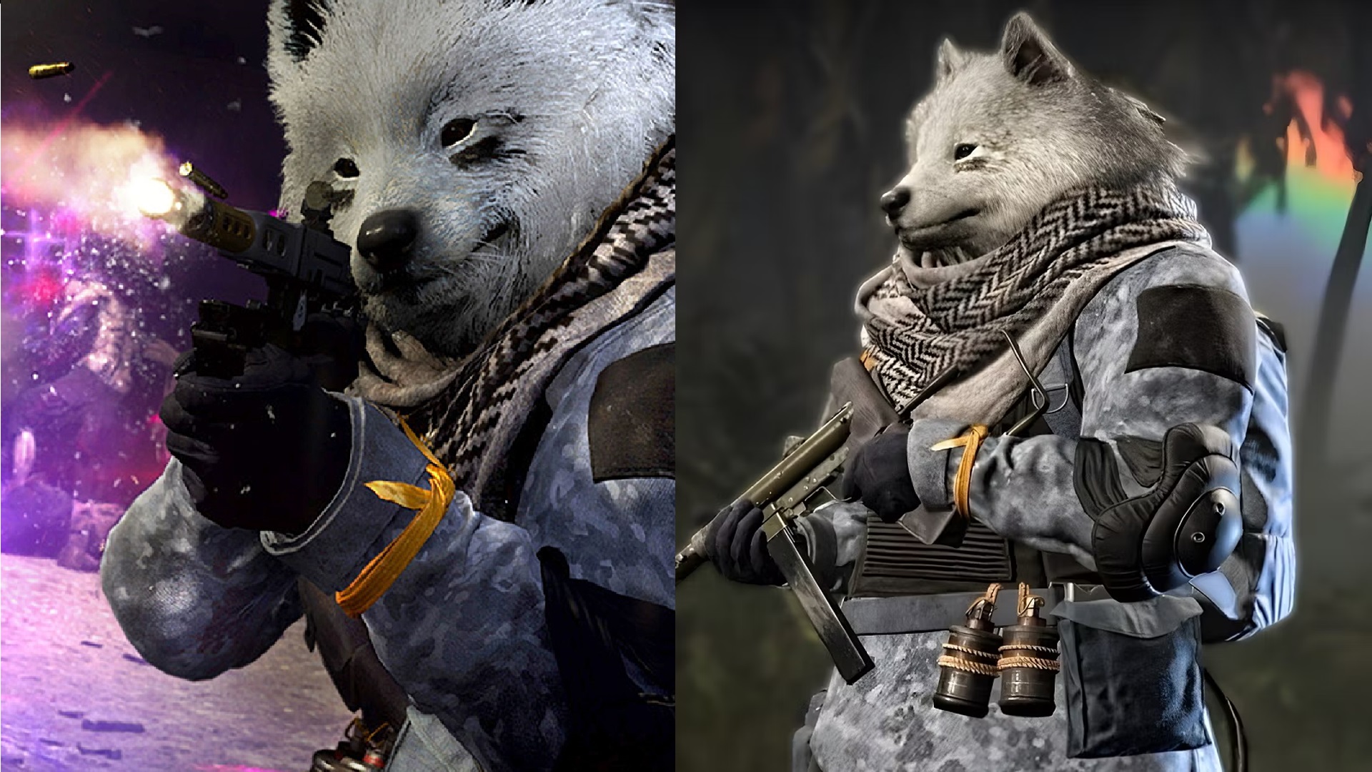 Activision henter stjålet 'Floof Fury'-skind fra Call of Duty: Warzone