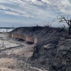Forbrændt naturreservat ligner en 'krigszone' efter en ødelæggende naturbrand