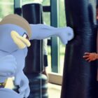 Pokémon GO: bedste angribere og forsvarere til træningscentre, raids og PvP