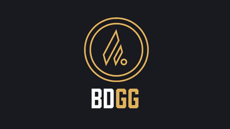 bdgg bedste wow guild