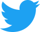 twitter ikon