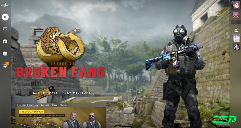 Sådan køber du Counter-Strike: Global Offensive – LiquidSky.com