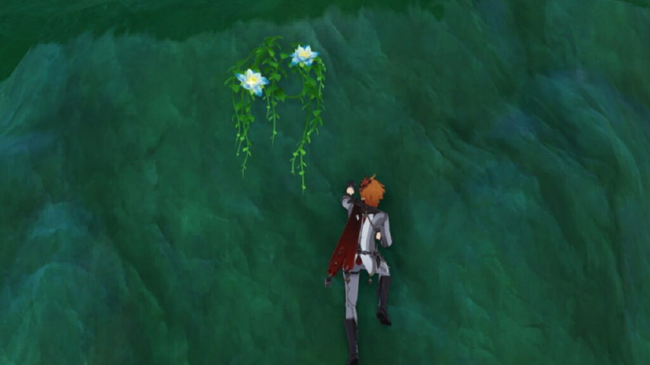 Gameplay