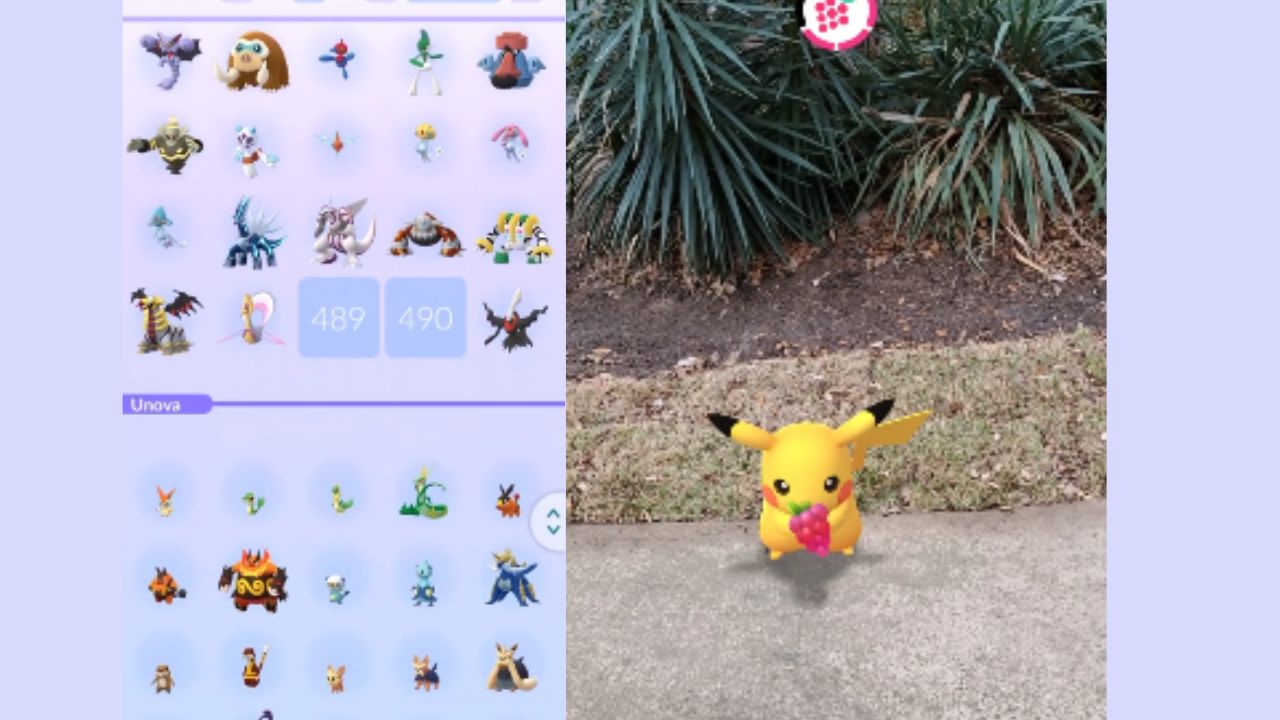 Pokemon