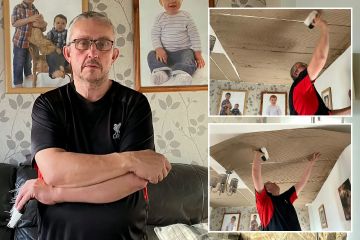Jeg er blevet tvunget til at lime pap over hele mit hus for at holde varmen