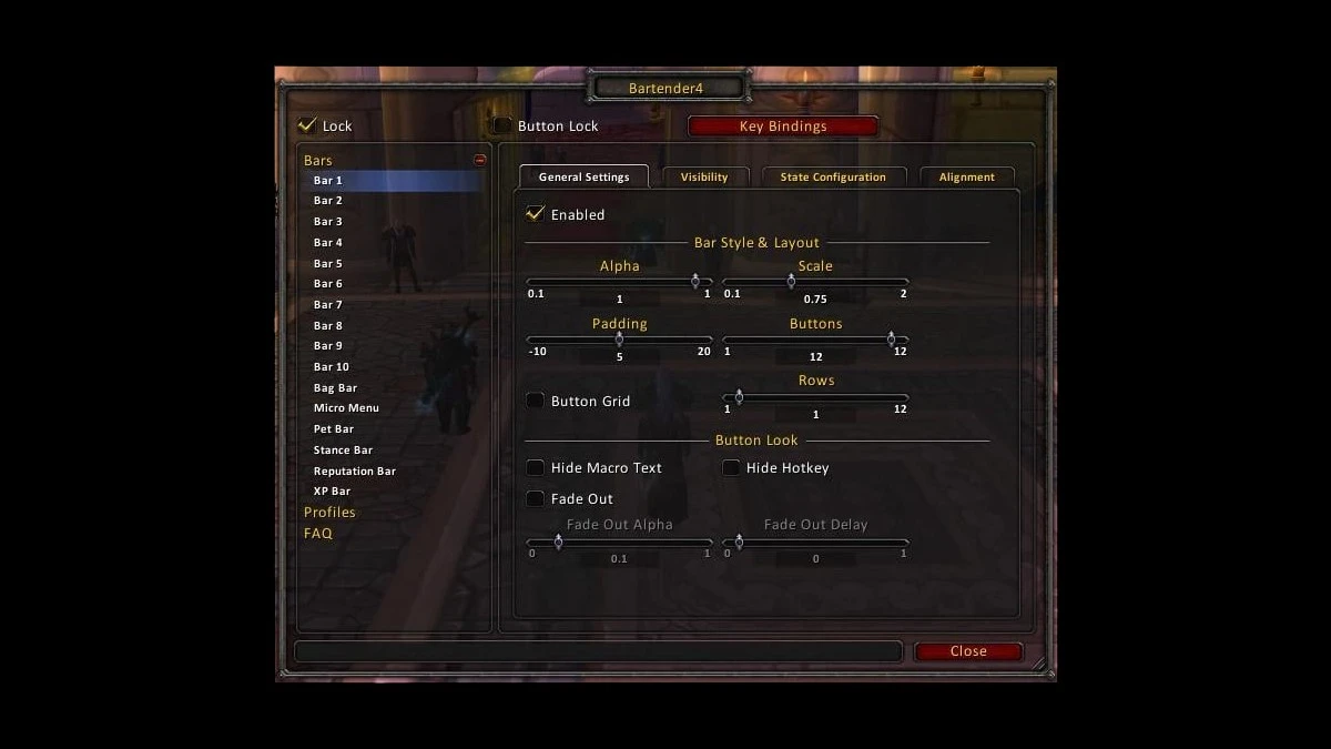 World Of Warcraft Addon Bagnon
