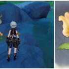Split image of Bennett in front of a Snapdragon in the wild and a Snapdragon up close image in Genshin Impact.