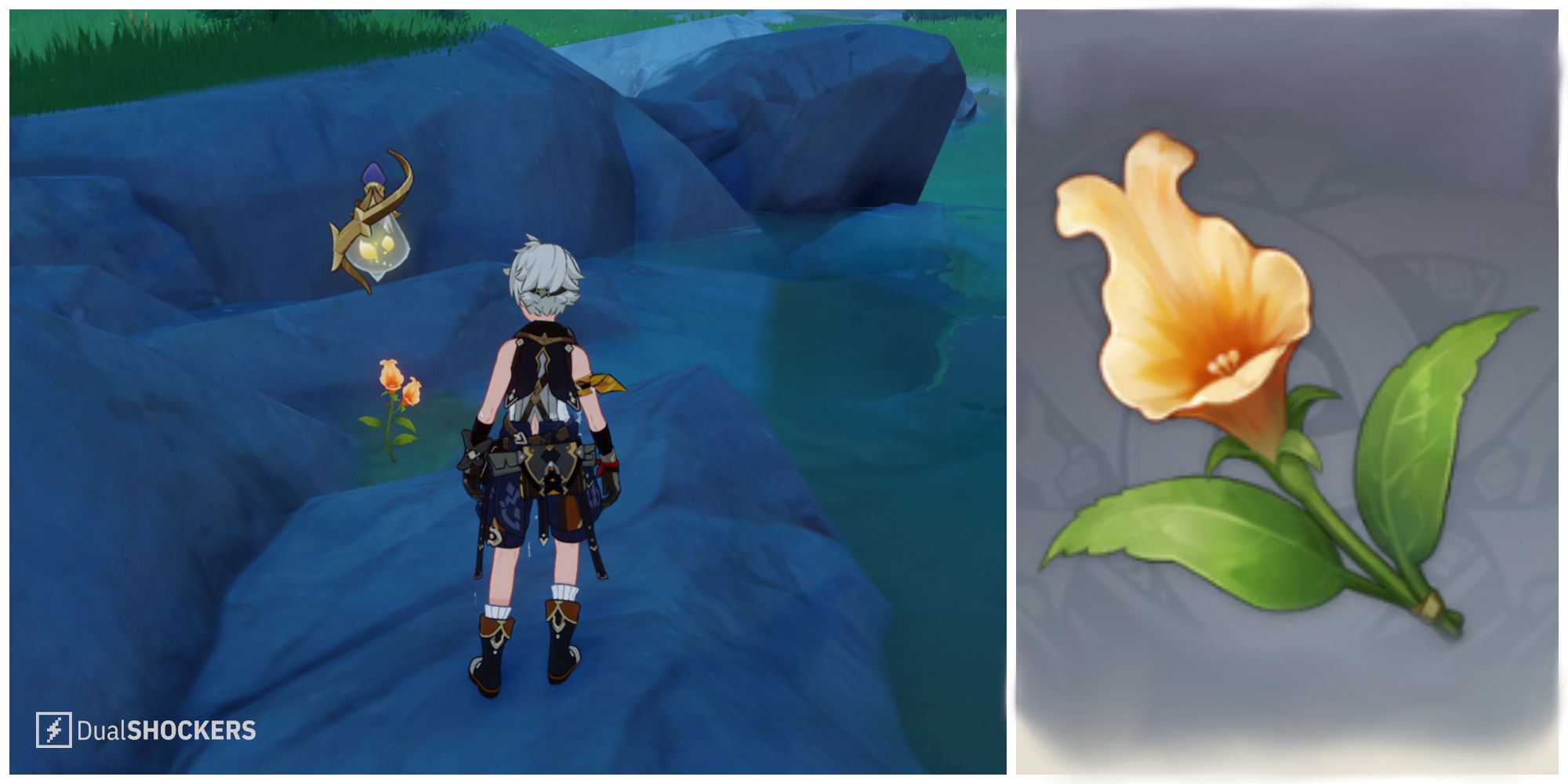 Split image of Bennett in front of a Snapdragon in the wild and a Snapdragon up close image in Genshin Impact.