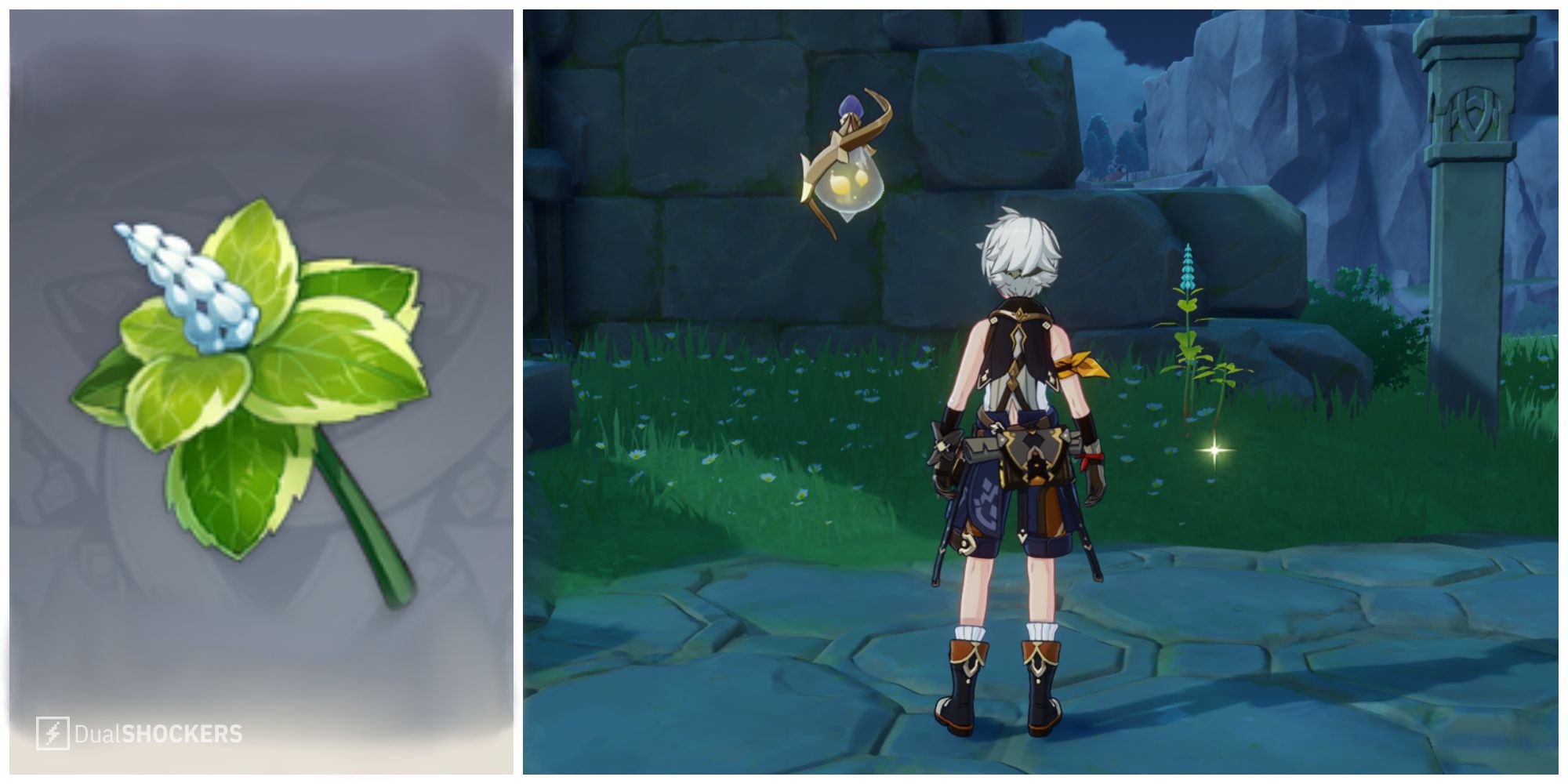 Split image of a piece of Mint and Mint found in the wild in Genshin Impact.