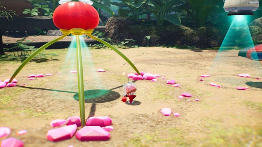 Pikmin 4 hub