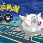 Bedste Moveset til Cetitan i Pokemon Go – er det det værd? Creo Gaming
