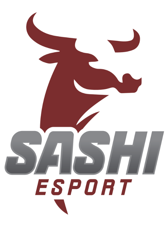 Sashi Esport - Liquipedia Counter-Strike Wiki