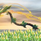 Mega Rayquaza Special Raid Event: alt hvad du behøver at vide Creo Gaming