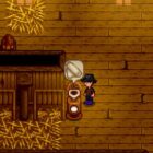 How To Get Cloth In Stardew Valley