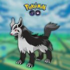 Sådan slår du Mightyena solo i Pokémon GO 3-stjernede raids Creo Gaming
