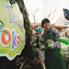 Pokopia Garden: A must-visit for Pokémon fans in 2026?