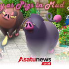 Pokémon GO Launches May 2026 Community Day Featuring Lechonk