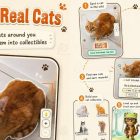 Mobile Game Surprise: Et nyt katteindsamlingsspil fanger Pokémon Go-fans! Pokémon Go Fans Need To Try This Free Cat-Collecting Mobile Game