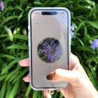 Blomstergenkendelsesapp: Gør dine gåture til en botanisk skattejagt. This flower identification app turns every walk into Pokémon Go for plants