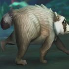 Jimothy, den virale vaskebjørn, optræder i WoW og RuneScape! Jimothy the Viral Raccoon Joins Video Games Like World of Warcraft and RuneScape